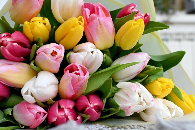 livraison pour fete des meres